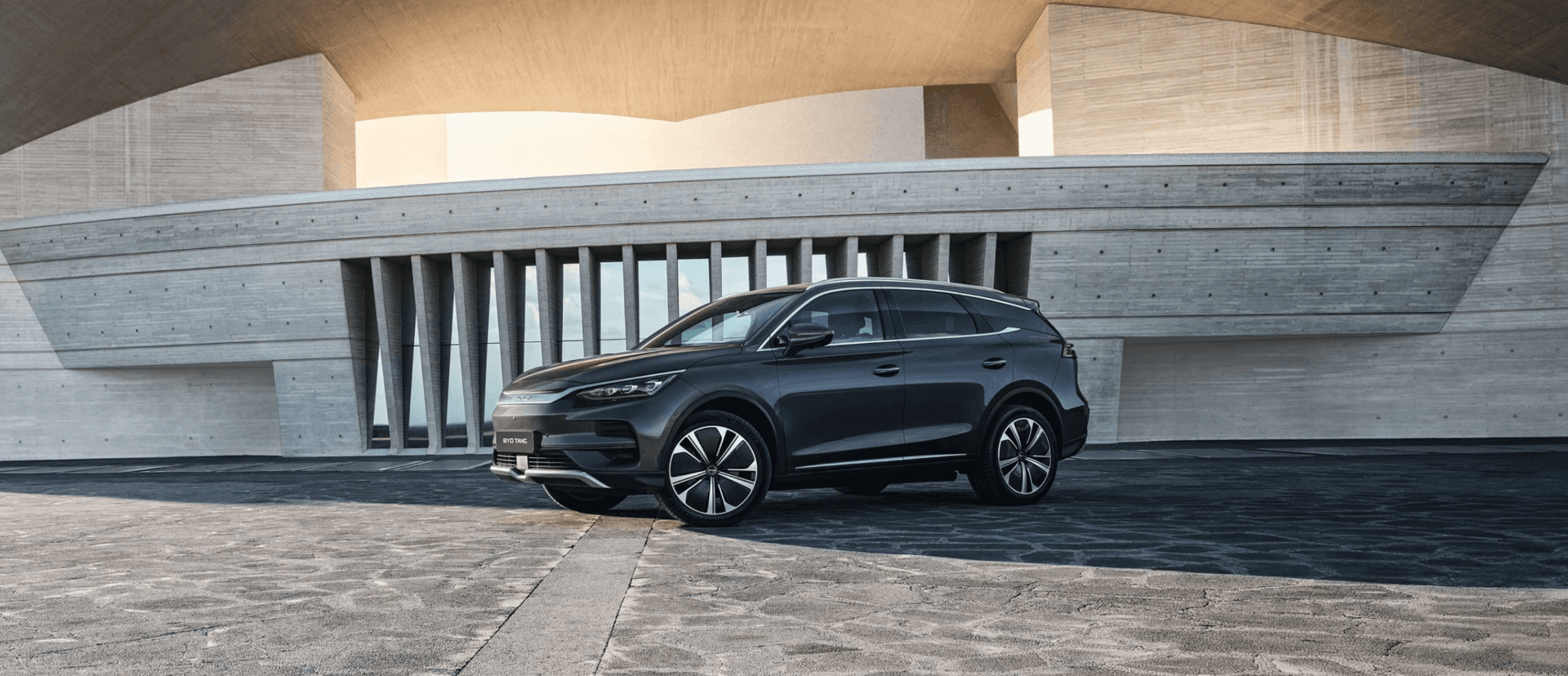 N&ordm; 1 mundial en veh&iacute;culos enchufables